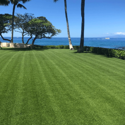 LAWN CARE