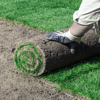 SOD INSTALLATION